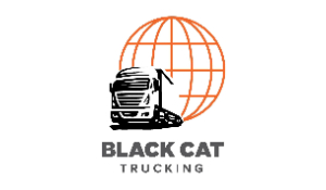 CTI Logistic Namibia Partner Logo Black Cat